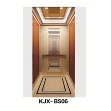 Villa Ascensor con espejo acabado de acero inoxidable (KJX-BS06)